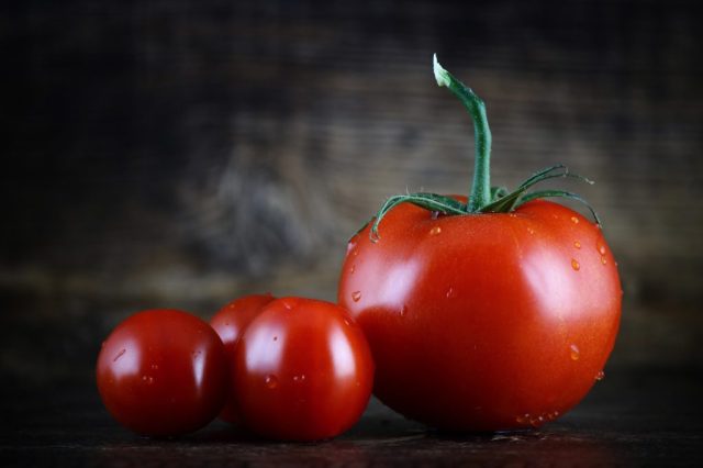 Farms under the Cities – a Sustainable Idea? Farms under the Cities – a Sustainable Idea?