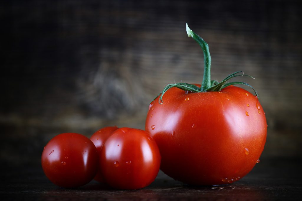 Farms under the Cities – a Sustainable Idea? Farms under the Cities – a Sustainable Idea?