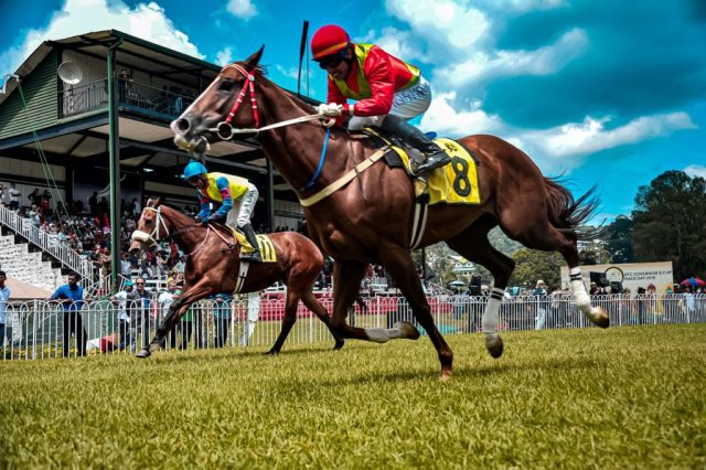 How to Enjoy Horse Racing Without Becoming Addicted How to Enjoy Horse Racing Without Becoming Addicted